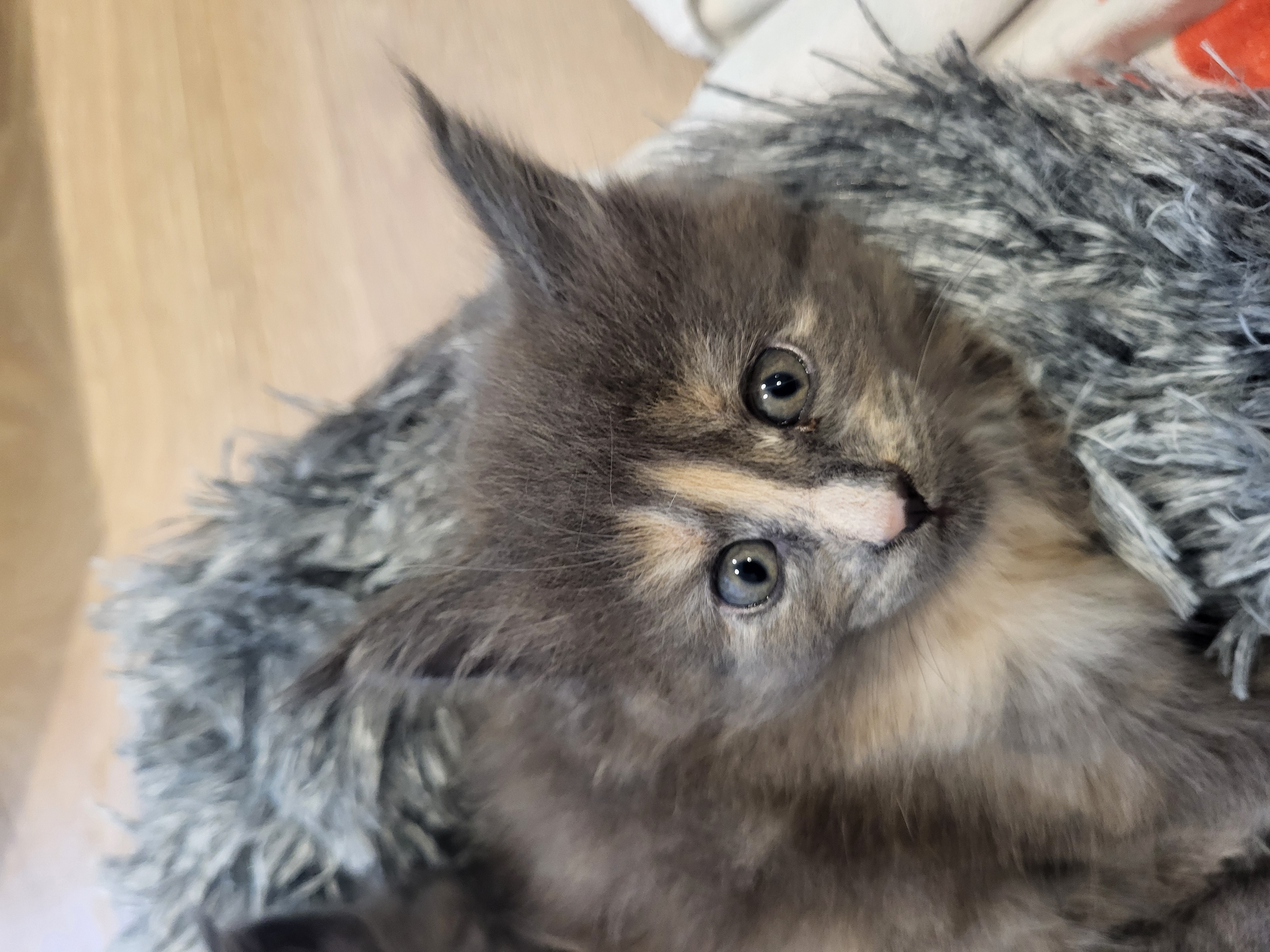 Betty — the sweetheart
